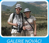 GALERIE NOVCI